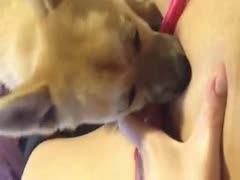 Sexy teen enjoying a hot dog oral sex